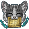 kernelcat kernelcat