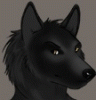 SecondSunWolf