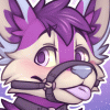 shy-.
