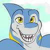 SledgeTheShark