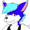 zerdathefennecfox