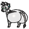 Zerozebra