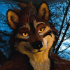 CleanerWolf