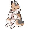 hoenn
