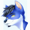 Kyle_Vills