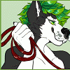 warmwolf warmwolf