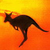 marsupials
