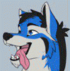 rowdywolf