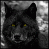 keanetheshifter
