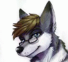 codewolf