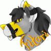 ADancingWolf ADancingWolf