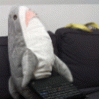 Code-Shark101 Code-Shark101