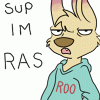 Raspberryroo