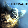 LilSilentWolf