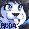 ~Buda~