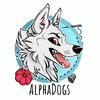 alphadogs