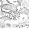 squishypython